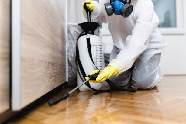 Best Ant Control Services  in Bystrom, CA