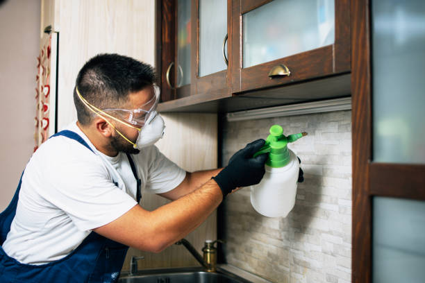 Best Mosquito Control Services  in Bystrom, CA