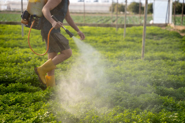 Best Emergency Pest Control  in Bystrom, CA