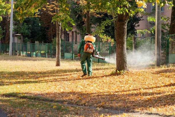 Best Rodent Control Near Me  in Bystrom, CA