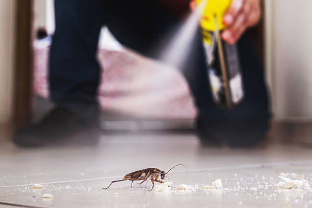 Best Exterminator Services  in Bystrom, CA