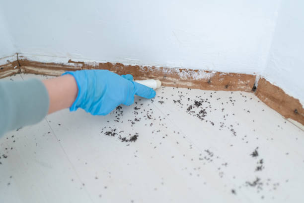 Best Residential Pest Control  in Bystrom, CA