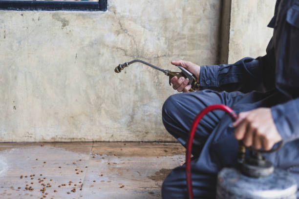 Best Best Pest Control Companies  in Bystrom, CA